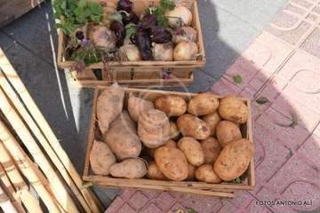 El Roque Azucarero celebra el Día de Canarias (Foto Antonio Alí)
